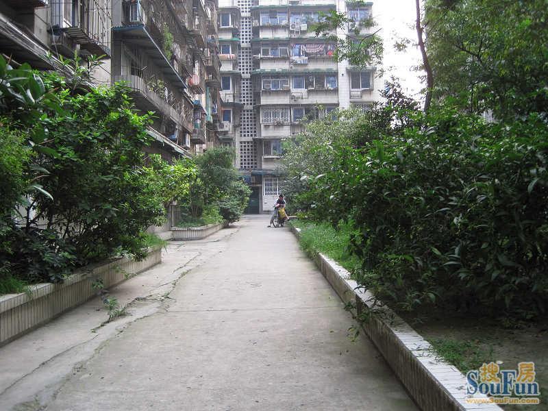 小区相关图