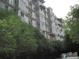 校园春天1室0厅东南
