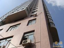 陆家嘴·紫光大厦看三件套高区景观,总价8开头,二梯队菊园书包