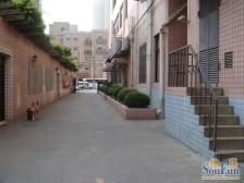 虹口区临平路海伦大厦3室0厅