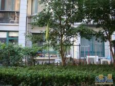 东方文苑 4室2厅 南