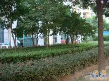 开放式厨房,大开间,品质小区,近地铁