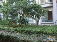 3房2厅2卫,位置好,视野好,采光好