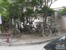 内环内+边套全明+南北通透+书包房