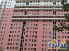 华泽新苑 2室1厅 南 北