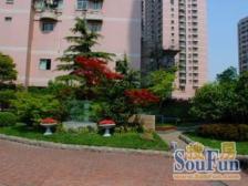 4/8双地铁,满5年 ,中高区,南北通,看房随时