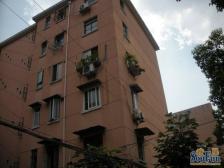 曹杨·银都名庭·2室·1厅