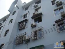 巴林小区3室南朝向485.00万元/套出售