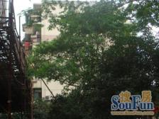 近地铁、位置很安静,满五 v一、简装修可拎包入住