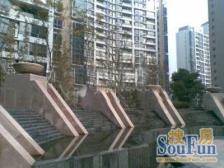 4号线塘桥站地铁口 三开间全天采光 户型方正