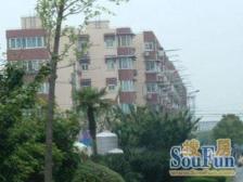 老闵行大零号湾体育馆旁需要小户型三房看过来啦!!!