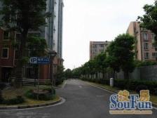 电梯顶楼复式 中间位置 小区环境好 房龄新 欢迎看房