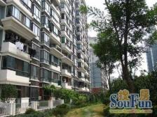 江南欣苑(闵行) 2室2厅 南