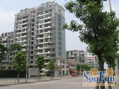 江南欣苑实景图