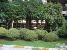 品质小区,环境优美,居家装修,诚意出售