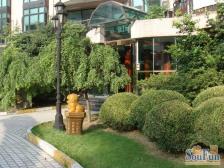 静安寺板块 低价电梯房,西边套,中楼层,采光视野好