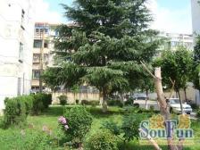 川沙·曙光南桥小区·2室·1厅