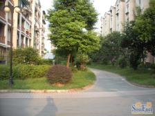 房子全明户型,前排无遮挡,采光视野好