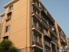 桃浦·安居古浪新苑·2室·1厅