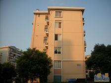 房子全明户型,前排无遮挡,采光视野好