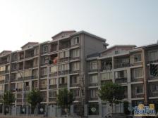 安居古浪新苑 2室2厅 北