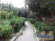 三泉路424弄 1室1厅 南