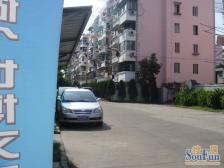 飘鹰公寓3室东朝向545.00万元/套出售