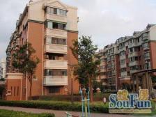 5复6楼 5楼2房2厅1卫 6楼3房1卫+露台 停车方便