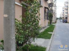 丽园新村1室东朝向199.00万元/套出售