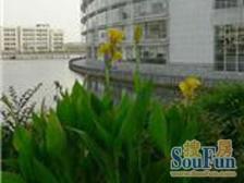 得房率85以上 看房方便 诚意出售