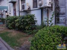 新上美丽家园改造小区低总价一房,内环旁配套齐全