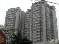 捡皮夹子啦!!小区单价低大平层,来电提前安排看房