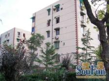 中环内 电梯一房,随时可看 总价低