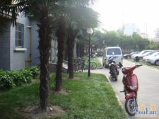 此房满五年、房东诚意出售、双南户型、采光好