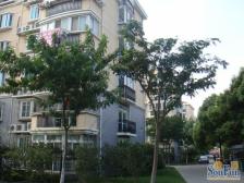 乾骏园 2室1厅 南 北