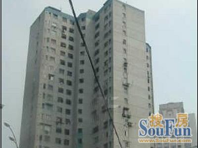 橡胶大楼实景图