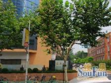 电梯房,大开间,客厅带阳台,近地铁,交通便利,精装修