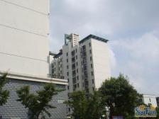 大露台+植物园+电梯房+电梯顶楼复式