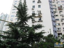 橡胶小区2室1厅1卫东南朝向528.00万元/套出售