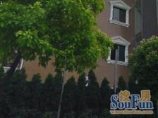 紧靠内环,老外居住品质小区,绿化极多,出行方便