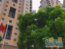 凤凰大厦3室西朝向1180.00万元/套出售