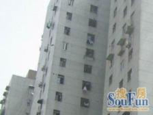 银鑫大楼 1室1厅 东