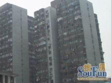 银鑫大楼1室1厅东