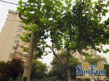 主卧朝南,交通便利,环境优美,居家装修