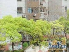 银鑫大楼低总价小户型,价格好谈中介费好谈