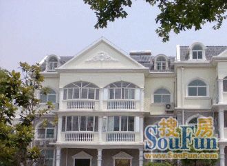 皇骐爱丽舍商住楼实景图