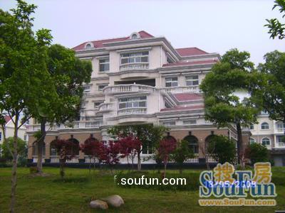 皇骐爱丽舍商住楼实景图