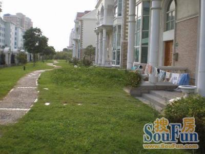 皇骐爱丽舍商住楼实景图