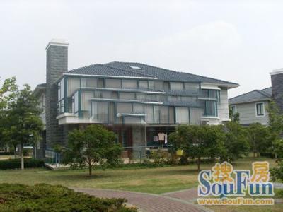 皇骐爱丽舍商住楼实景图