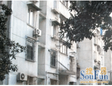 虹桥机场新村 2室1厅 南 北